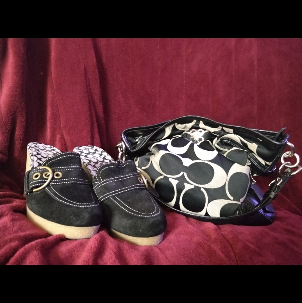 SOLD! COACH  Black Suede Mule Clog 7.5.